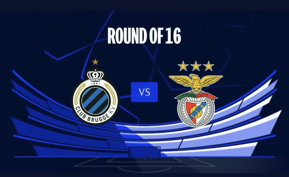 的球场阅读 的球场阅读