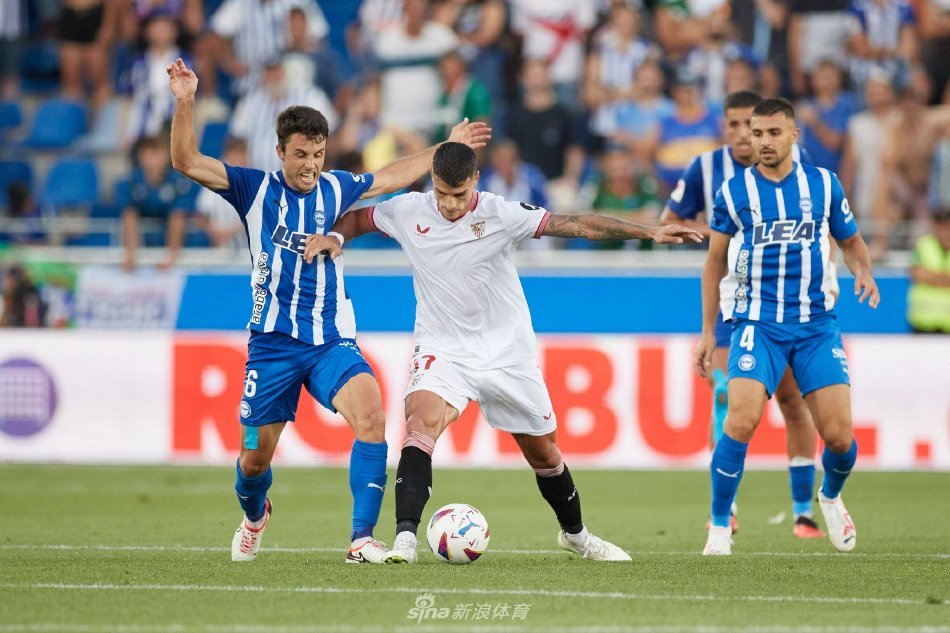 无疑为他们 无疑为他们